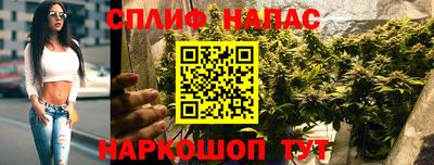 крисы Бузулук
