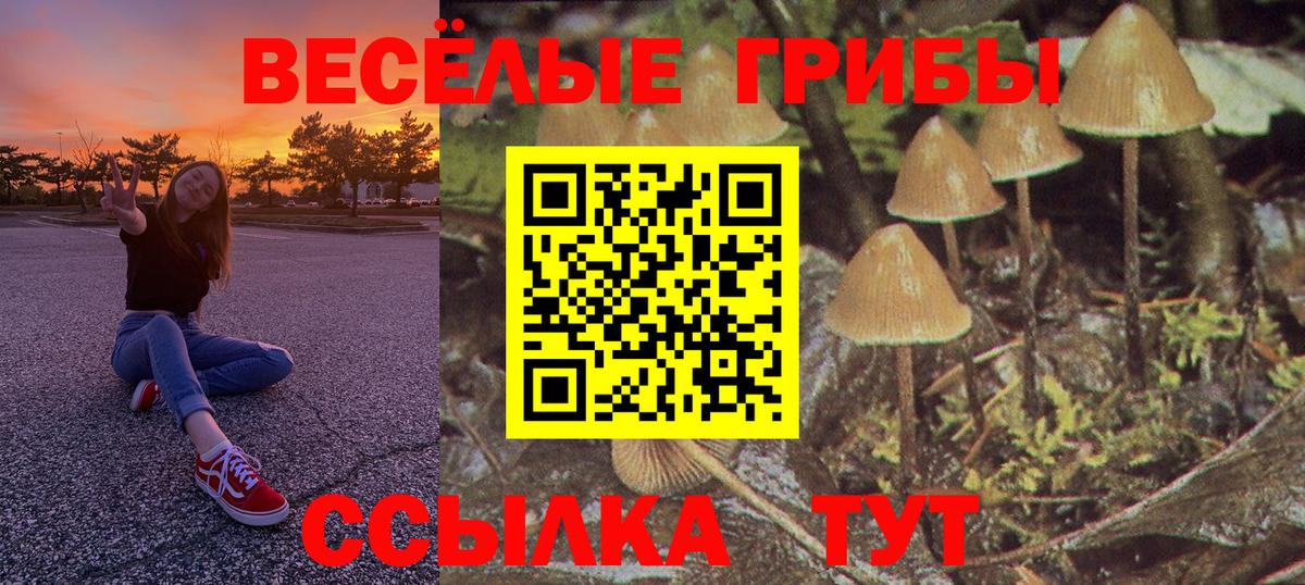Королёв  Галлюциногенные грибы Magic Shrooms  Вход с VPN 