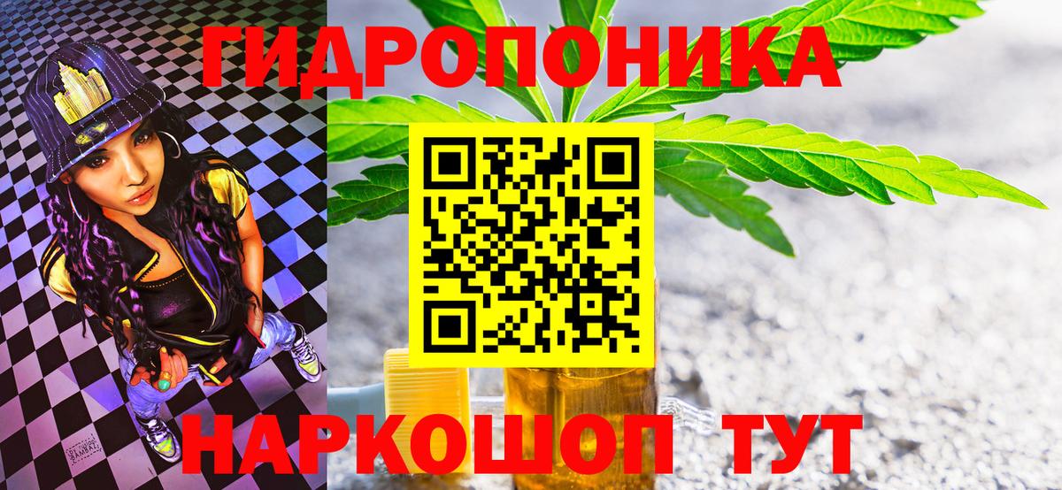 Королёв  Шишки марихуана планчик  Вход с VPN  Каннабис LSD WEED  Каннабис White Widow 